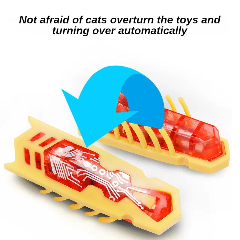 แมลงไฟฟ้าแสนตลกของเล่นล่อเหยื่ - Power Tools Cat บทวิจารณ์และราคา